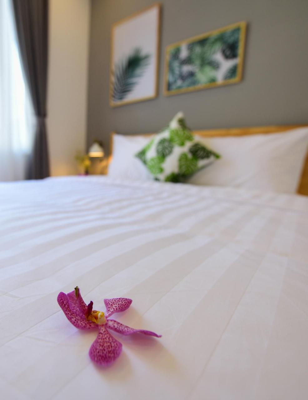 Hotel La Paix Hué Extérieur photo